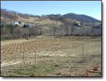 Farm History