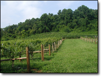 Toll Gate Farm Today